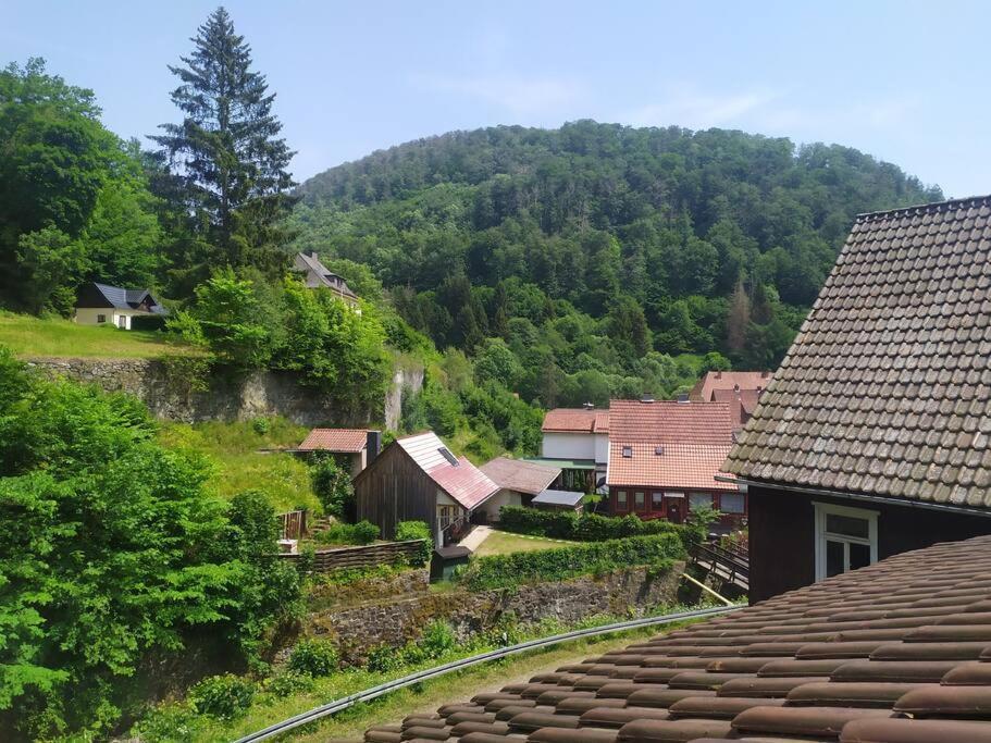 Haus Am Wald Zorge 16+ Gaeste Walkenried Kültér fotó