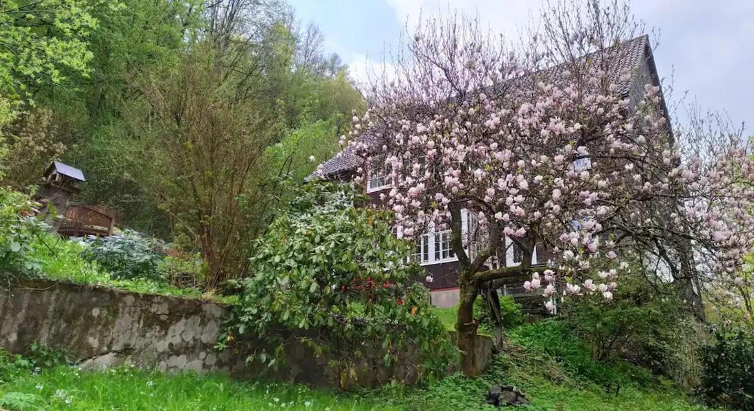 Haus Am Wald Zorge 16+ Gaeste Walkenried Kültér fotó