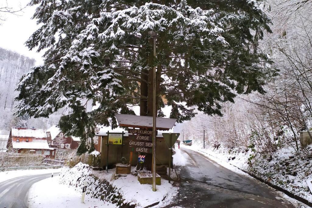 Haus Am Wald Zorge 16+ Gaeste Walkenried Kültér fotó
