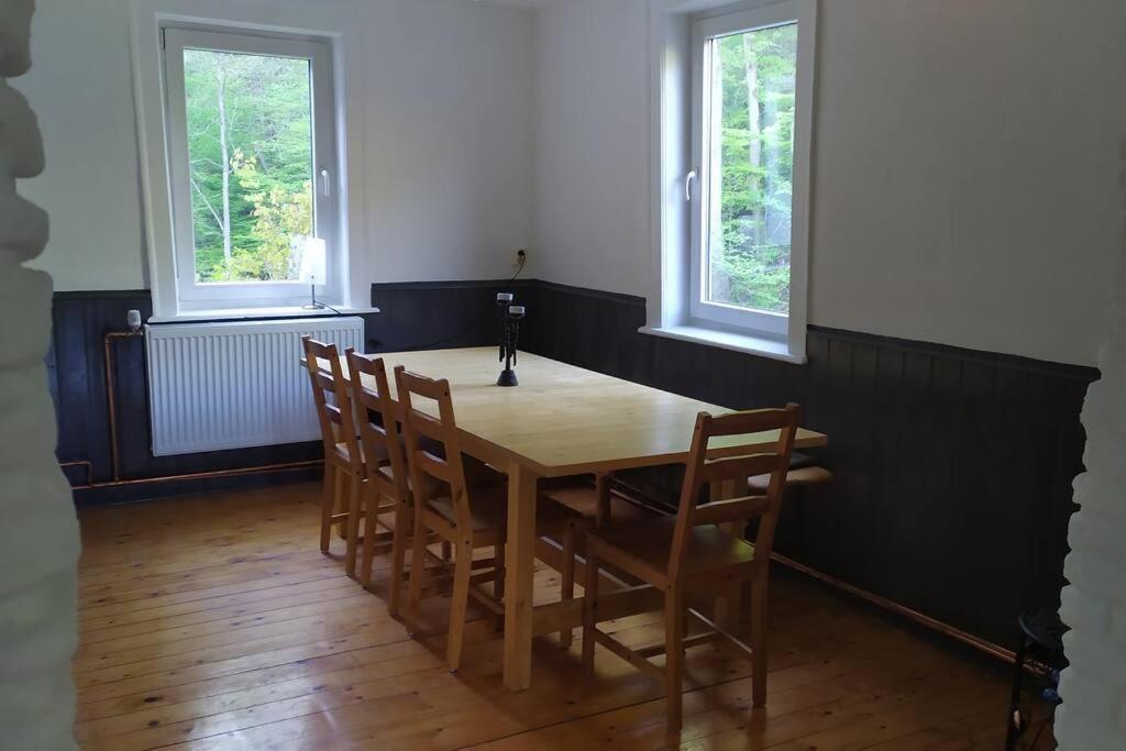 Haus Am Wald Zorge 16+ Gaeste Walkenried Kültér fotó