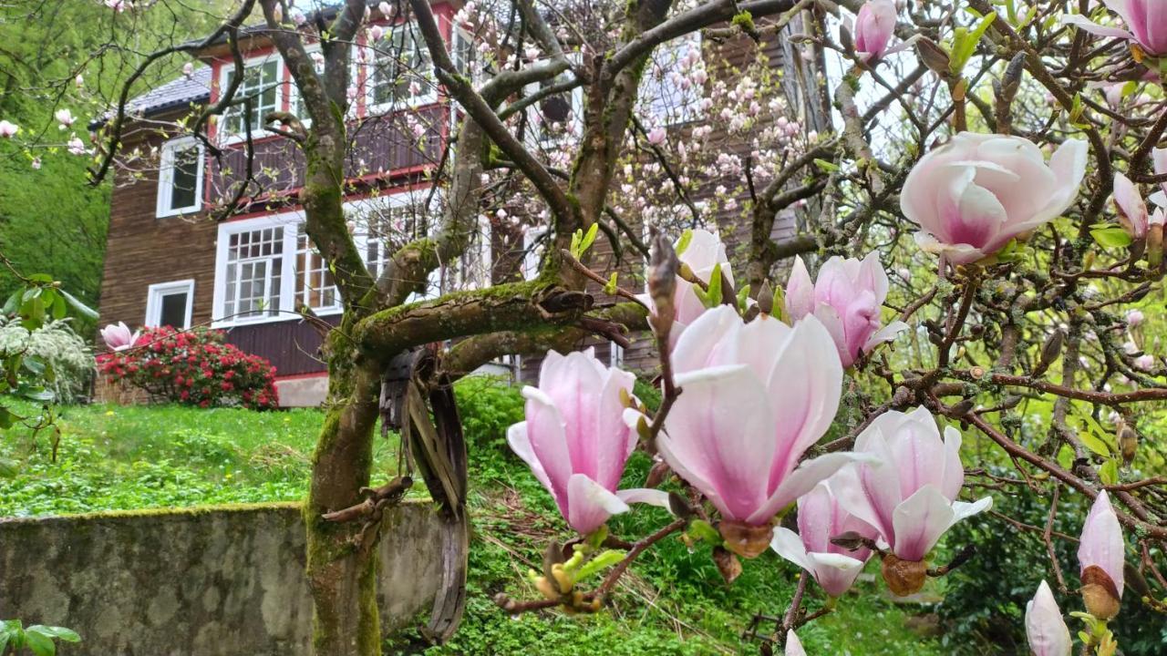 Haus Am Wald Zorge 16+ Gaeste Walkenried Kültér fotó